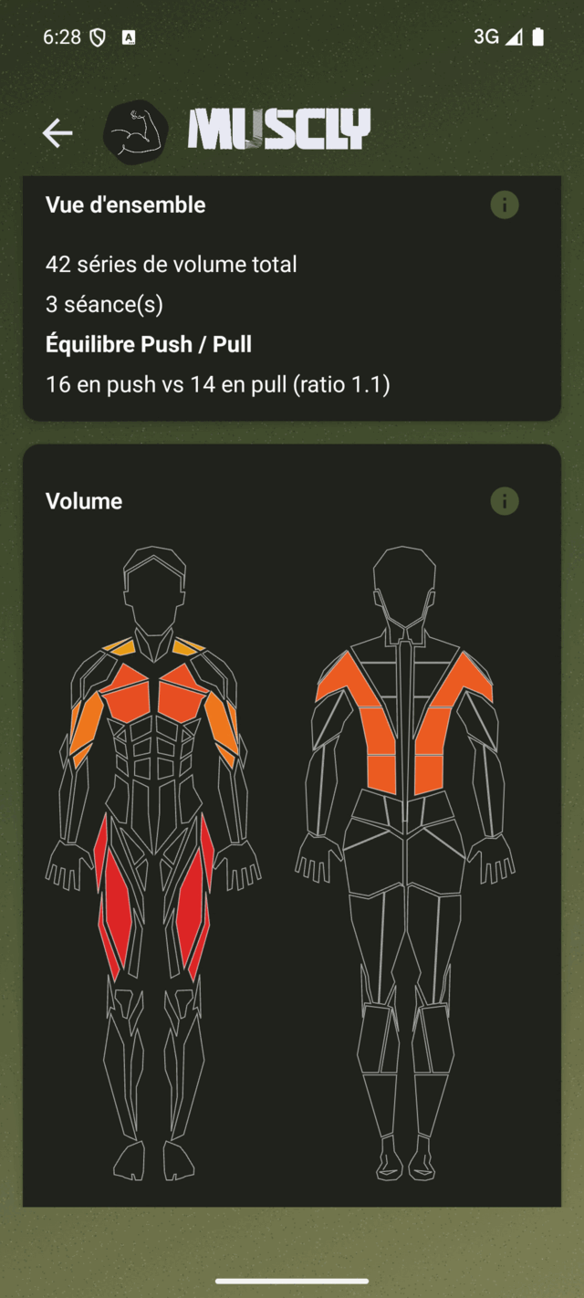 Analyse de programme&nbsp;: volume par muscle